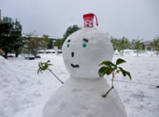 【慈遊館の風景】5年ぶりの雪